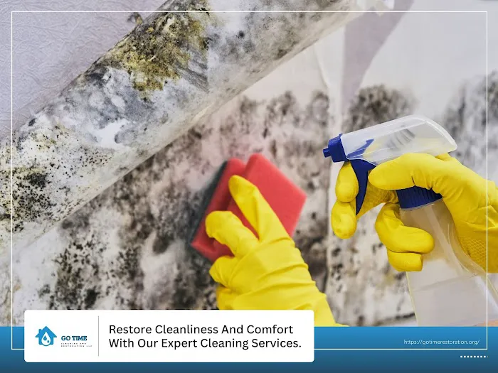 Go Time Cleaning and Restoration LLC Picture 6