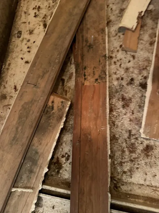 Go Time Cleaning and Restoration LLC Picture 8