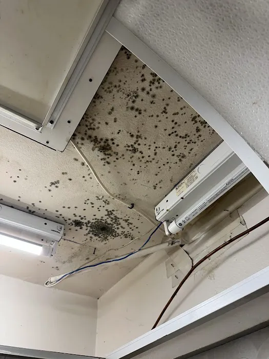 Go Time Cleaning and Restoration LLC Picture 4