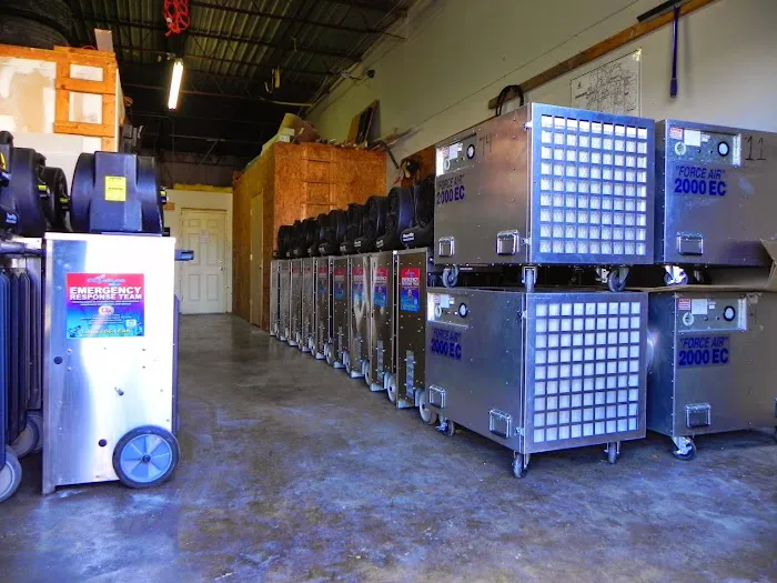 I Dry Leaks Picture 4