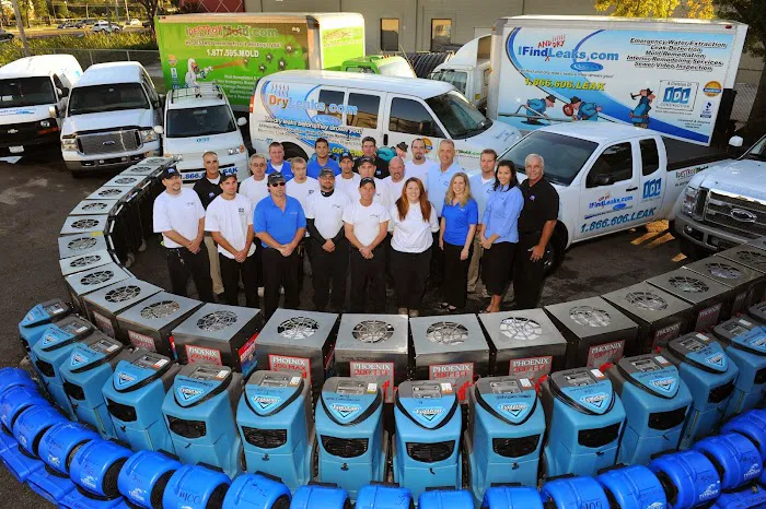 I Dry Leaks Picture 1