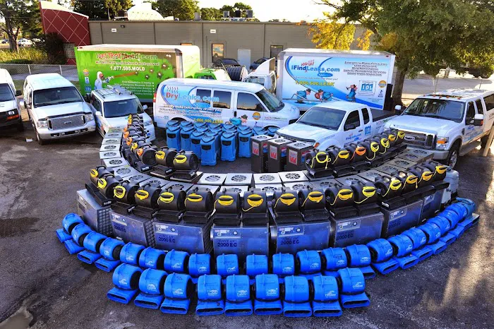 I Dry Leaks Picture 2