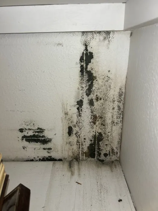 Parish Restoration Picture 8