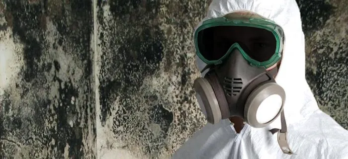 Expert Home Solution Picture 2