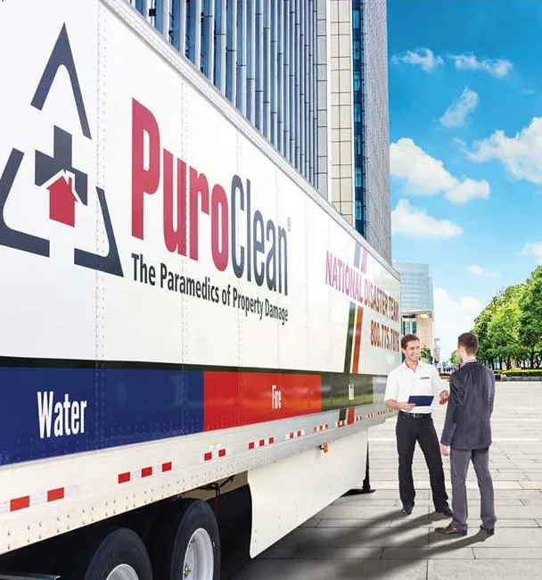 PuroClean of Pinellas Park Picture 4