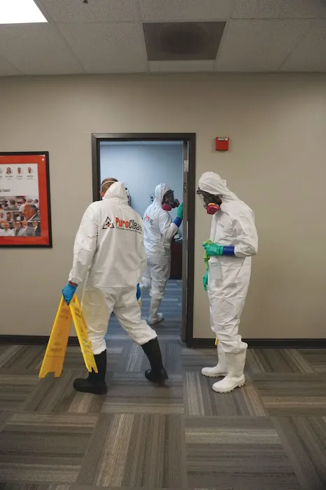 PuroClean of Pinellas Park Picture 1