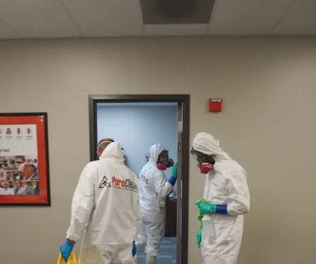 PuroClean of Pinellas Park