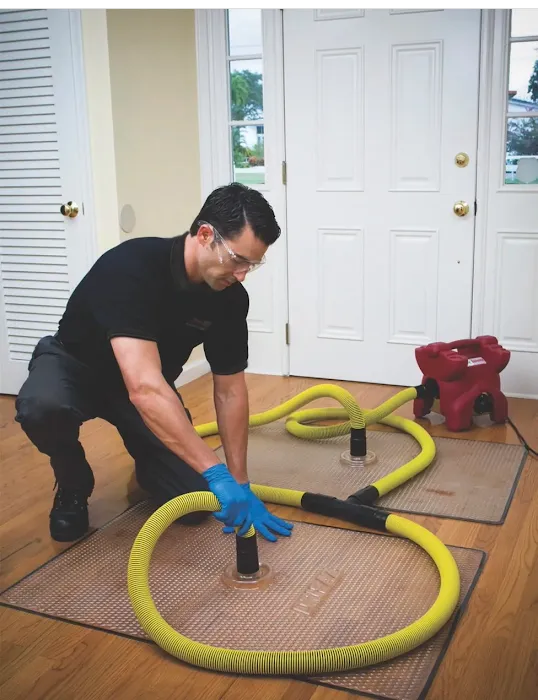 PuroClean of Pinellas Park Picture 3