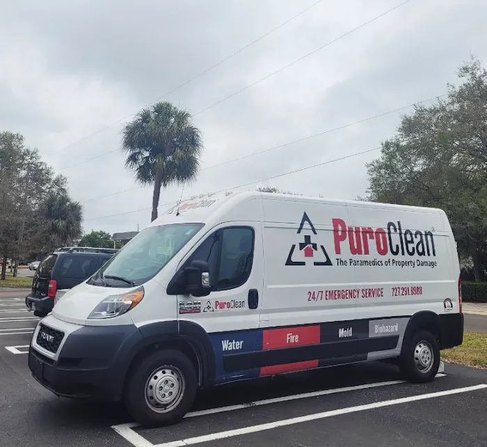 PuroClean of Pinellas Park Picture 9