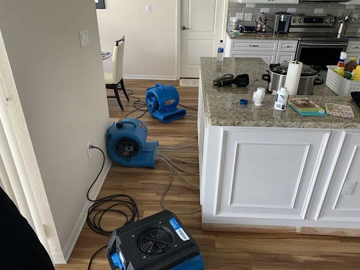 Classic Restoration & Reconstruction Picture 10