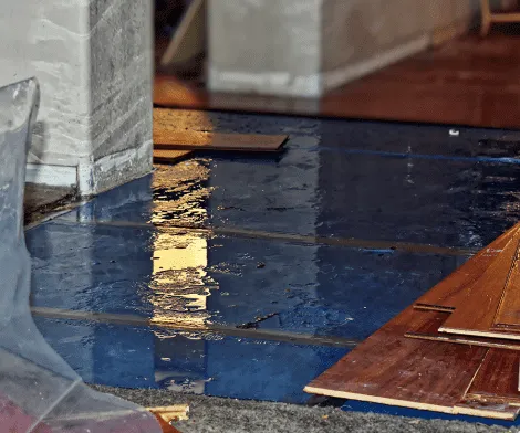 Classic Restoration & Reconstruction Picture 9