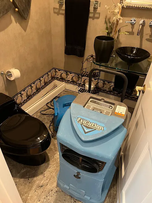 Classic Restoration & Reconstruction Picture 7