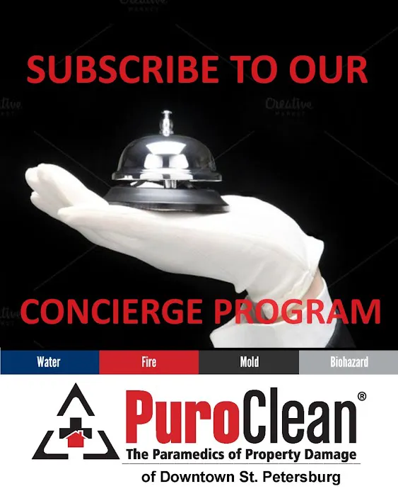 PuroClean of Downtown St. Petersburg Picture 1