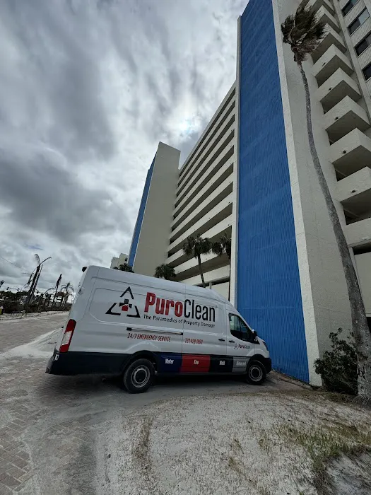 PuroClean of Downtown St. Petersburg Picture 10