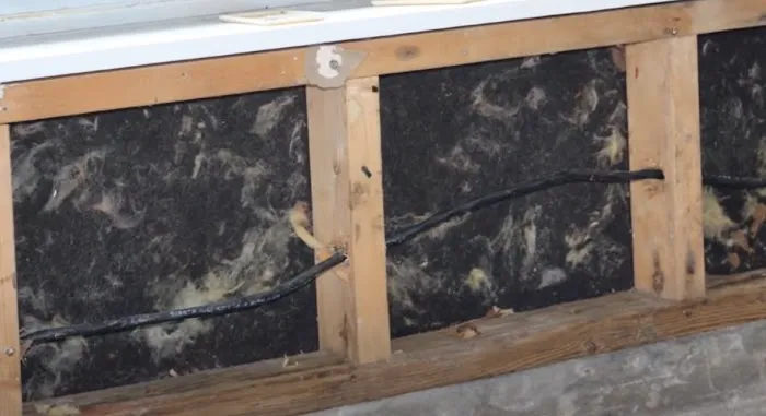 Certified Mold & Water Damage Restoration Team LLC Picture 7