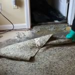 Certified Mold & Water Damage Restoration Team LLC