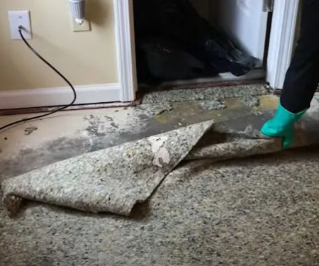 Certified Mold & Water Damage Restoration Team LLC