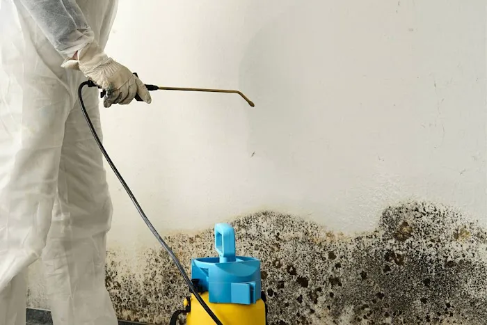 Flood Pros USA Picture 4