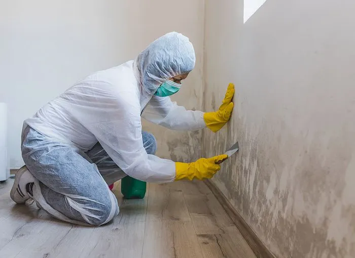 Flood Pros USA Picture 5