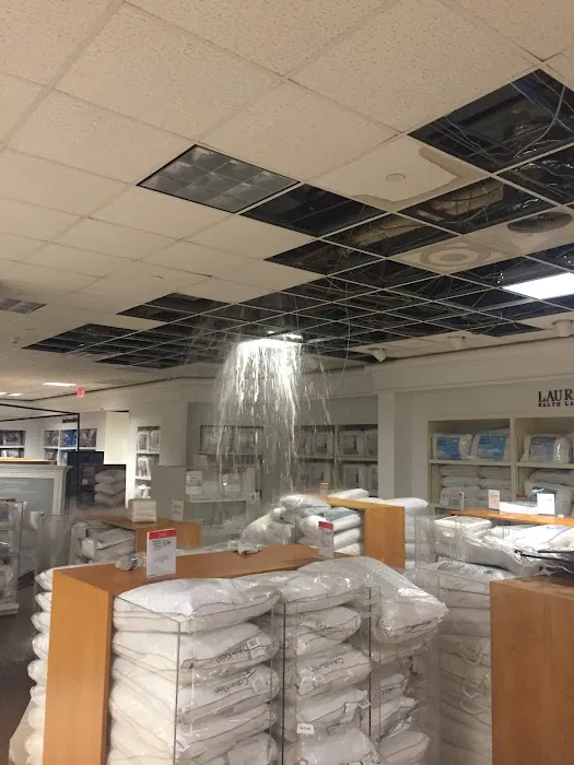 Drico Restoration Picture 10