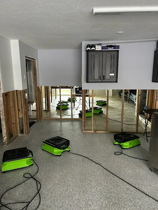 Drico Restoration Picture 4