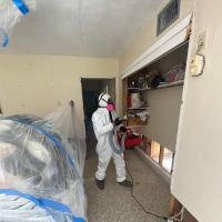 Pure Water Restoration of Downtown St. Petersburg ico