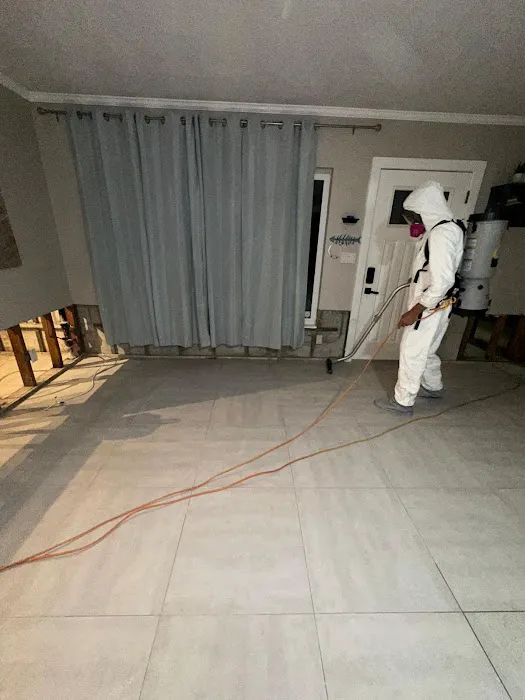 Spora Mold Remediation Picture 3