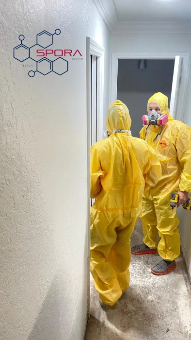 Spora Mold Remediation Picture 7