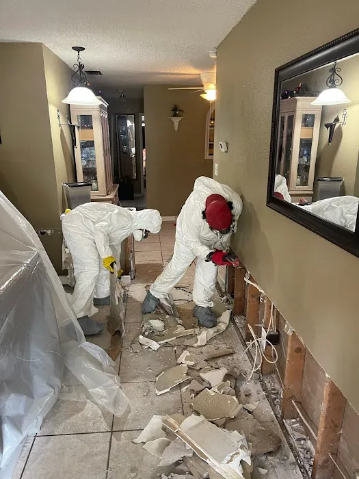 Spora Mold Remediation Picture 2