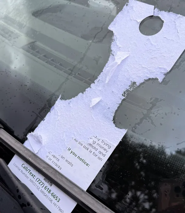 Spora Mold Remediation Picture 6