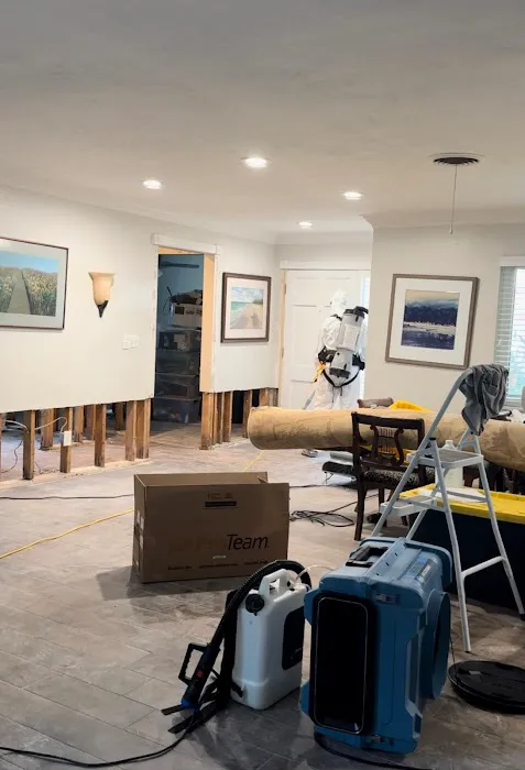 Spora Mold Remediation Picture 5