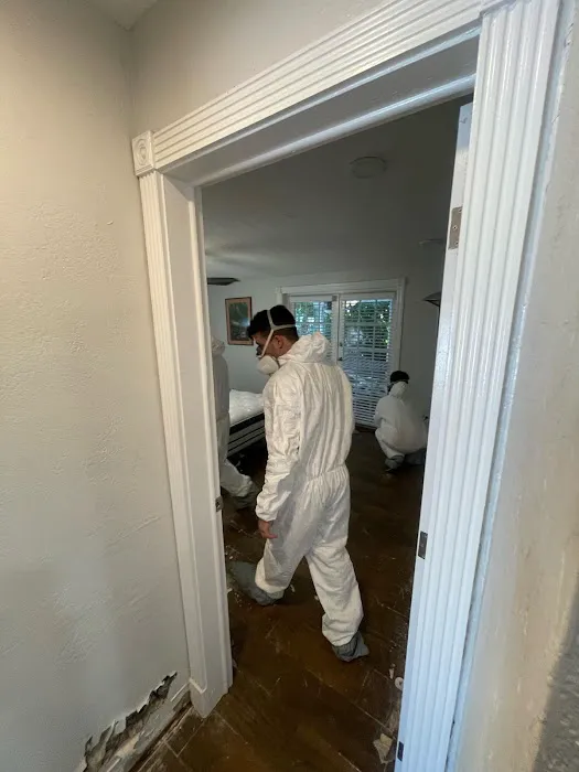 Spora Mold Remediation Picture 9