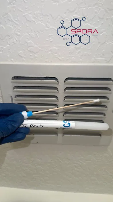 Spora Mold Remediation Picture 4