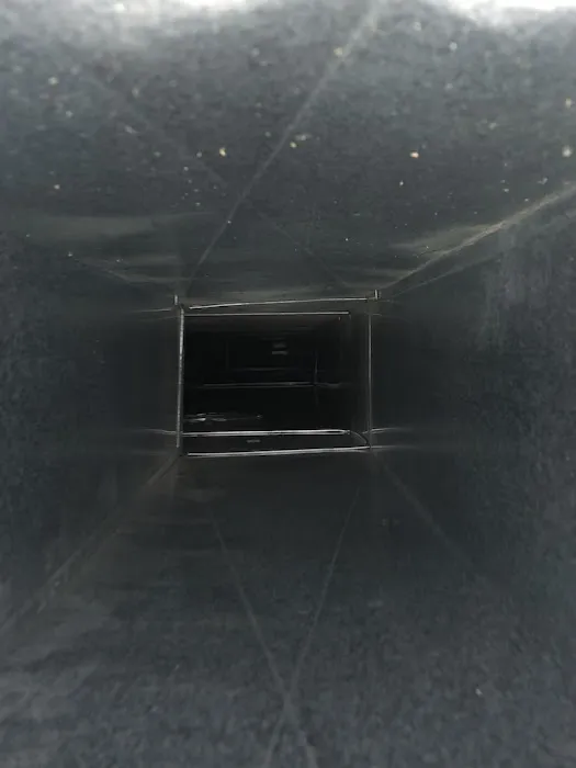 OrganiCLEAN Picture 1