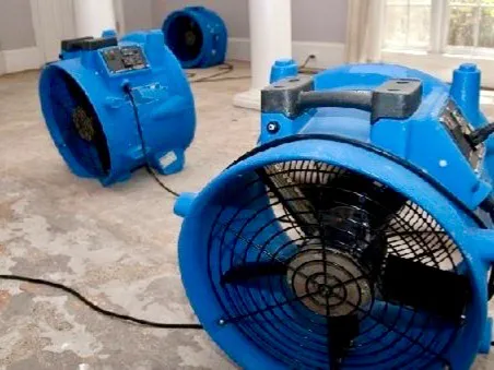 Supreme Water Damage Solutions Picture 1