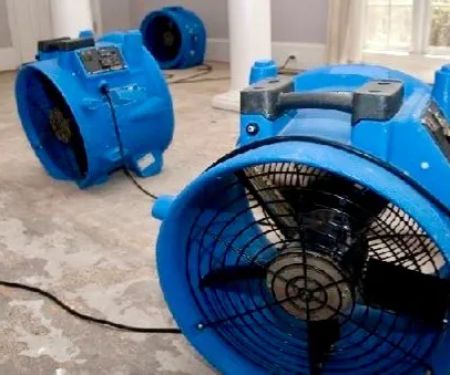 Supreme Water Damage Solutions