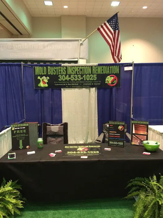 Mold Busters Inspection Picture 4