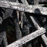 Mold Busters Inspection