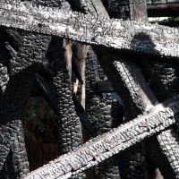 Mold Busters Inspection ico