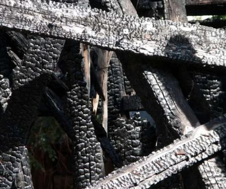 Mold Busters Inspection