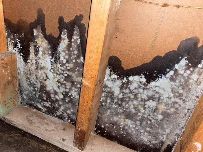 Clean Slate Restoration Picture 9