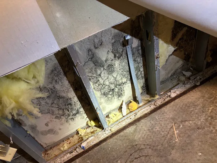 Clean Slate Restoration Picture 4