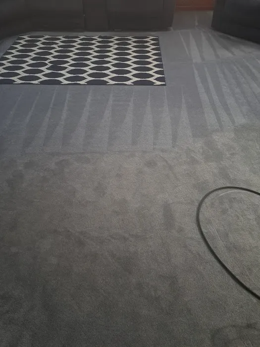 Stanley Steemer Picture 1