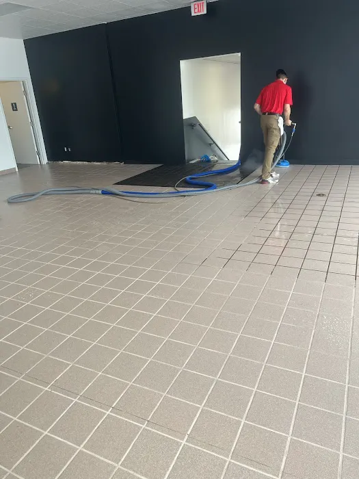 Elite Carpet Cleaning & Restoration Picture 6