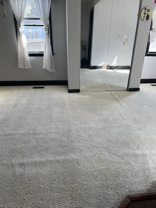 Elite Carpet Cleaning & Restoration Picture 3