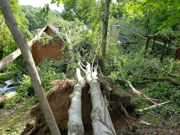 First Response Restoration Picture 4