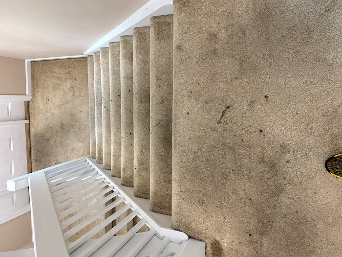 Affordable Steam Team Picture 3