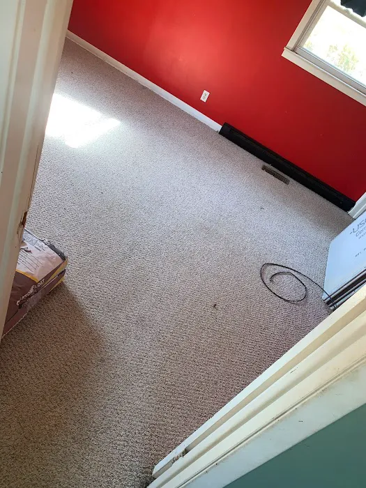 Affordable Steam Team Picture 6