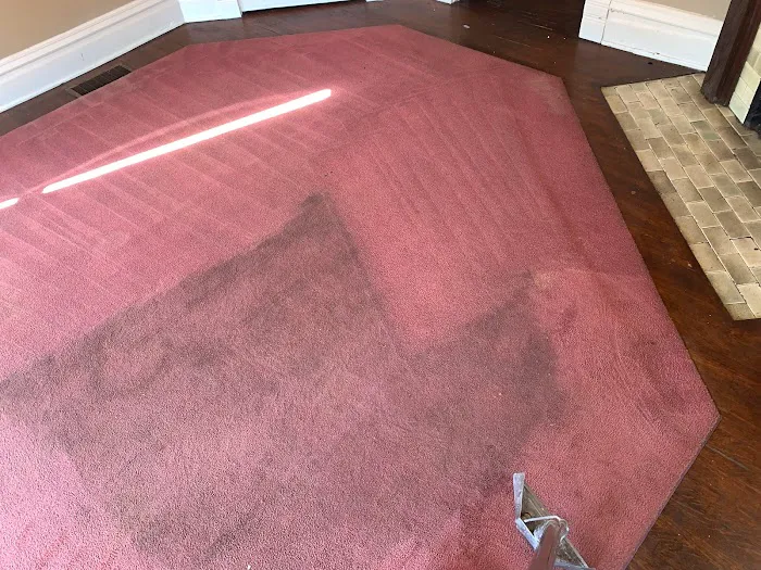 Affordable Steam Team Picture 2