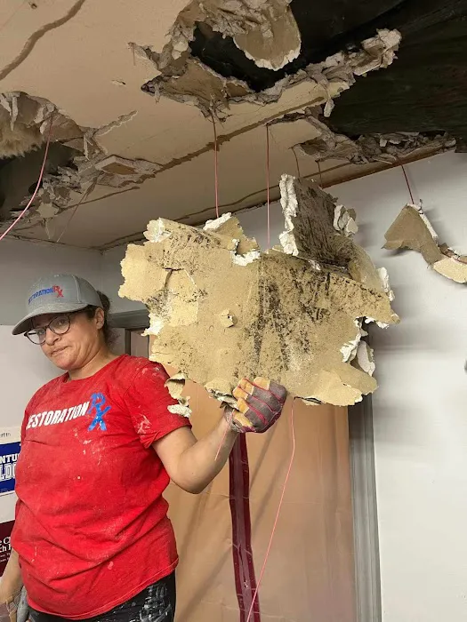 Restoration RX Picture 8